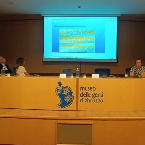 relazione dr.ssa turano